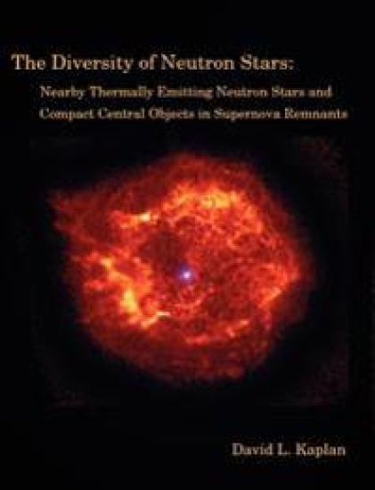 The Diversity of Neutron Stars