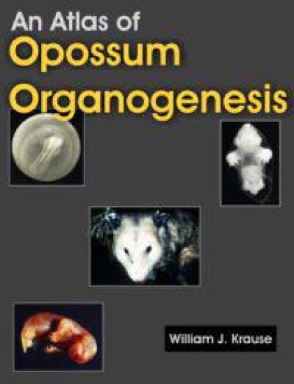 An Atlas of Opossum Organogenesis