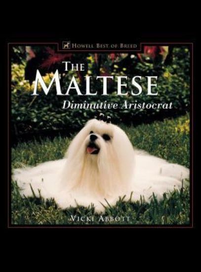 The Maltese: Diminutive Aristocrat