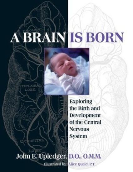A Brain Is Born