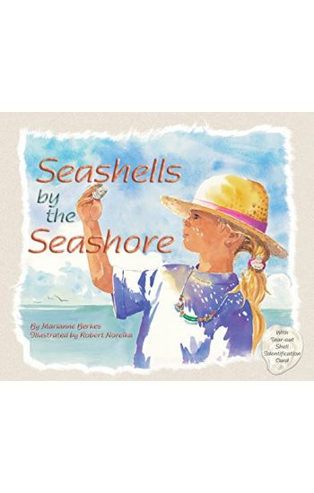 Seashells by the Seashore