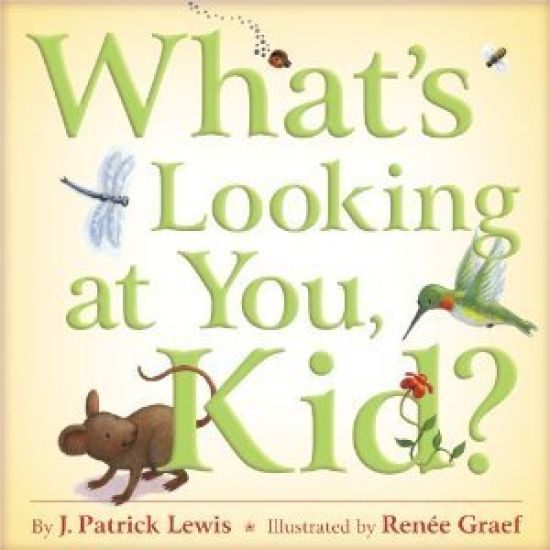 What's Looking at You, Kid?