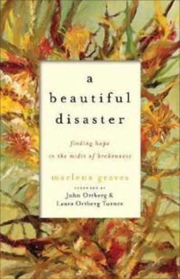 A Beautiful Disaster – Finding Hope in the Midst of Brokenness