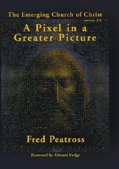 A Pixel in a Greater Picture