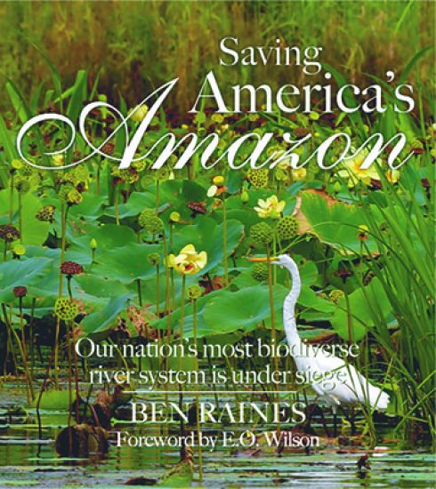 Saving America's Amazon
