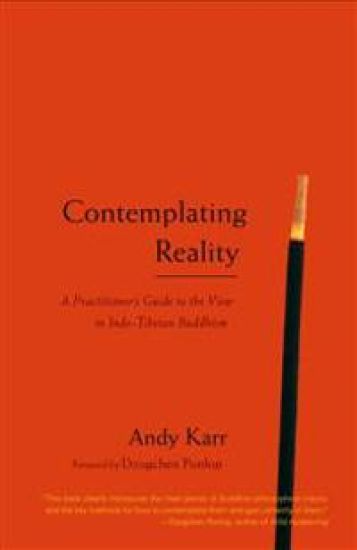 Contemplating Reality