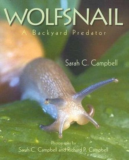 Wolfsnail