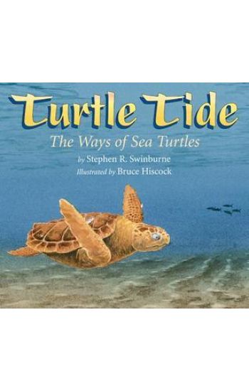 Turtle Tide