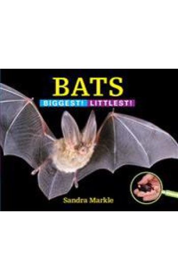 Bats