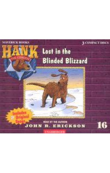 Lost in the Blinded Blizzard