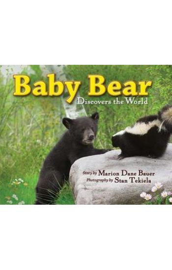 Baby Bear Discovers the World