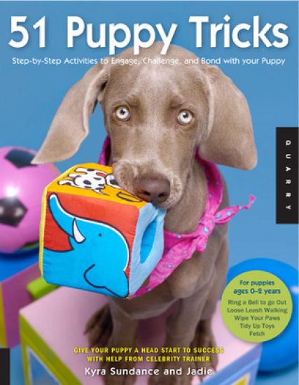51 Puppy Tricks