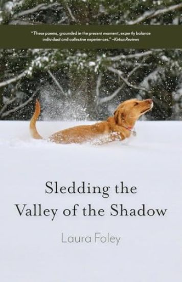 Sledding the Valley of the Shadow