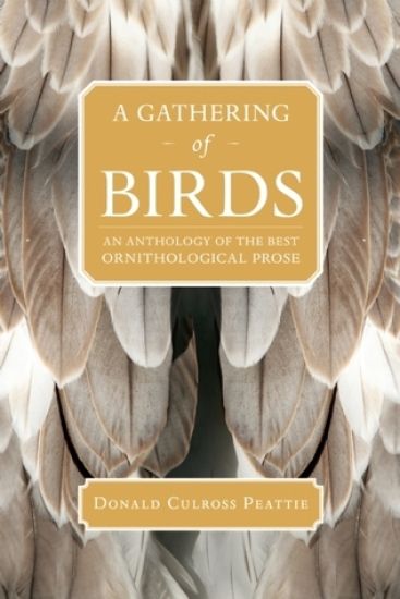 A Gathering of Birds