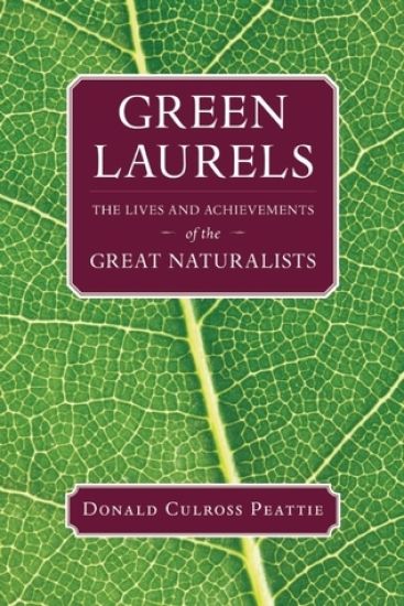 Green Laurels