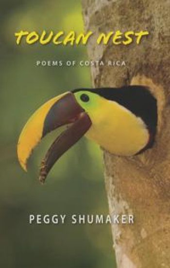 Toucan Nest
