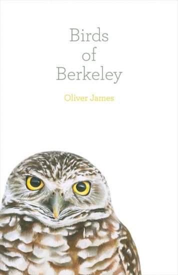 Birds of Berkeley