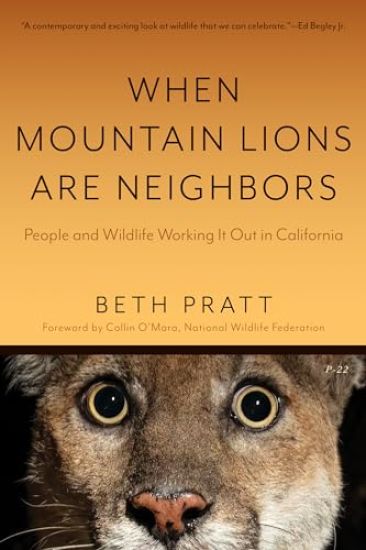 When Mountain Lions Are Neighbors