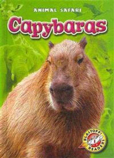 Capybaras