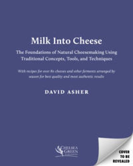 Milk Into Cheese