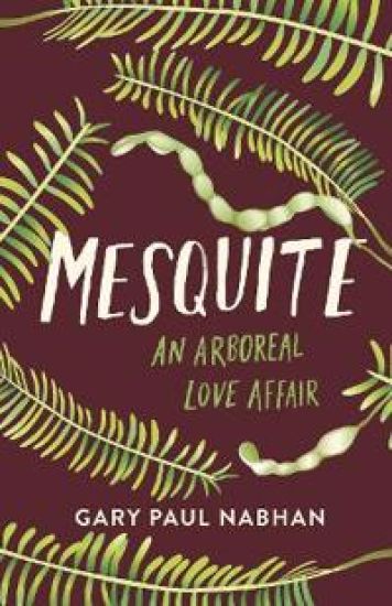 Mesquite