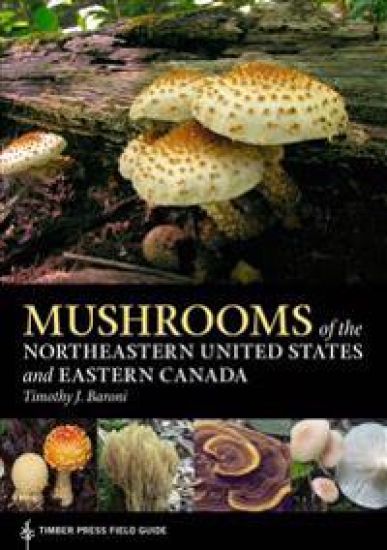 Mushrooms of the Northeastern United States and Eastern Canada