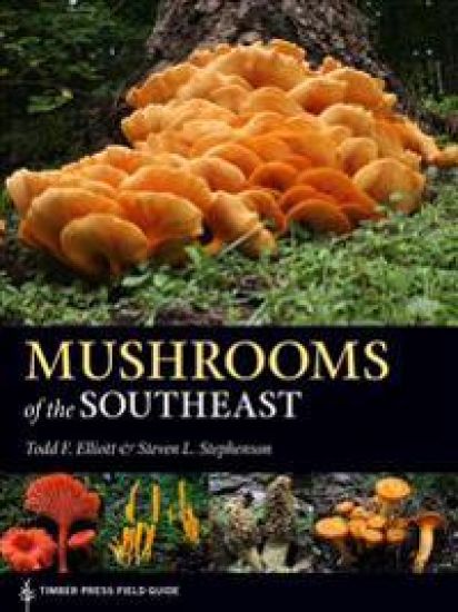 Mushrooms of the Southeast