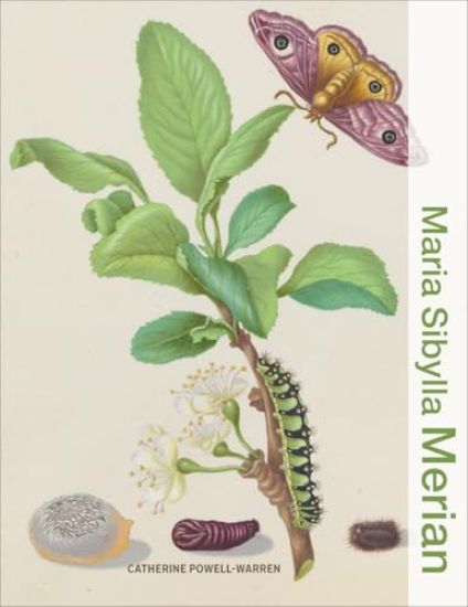 Maria Sibylla Merian
