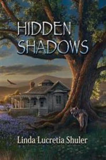 Hidden Shadows