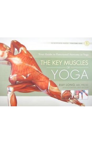 Key Muscles of Yoga: Your Guide to Functional Anatomy in Yoga