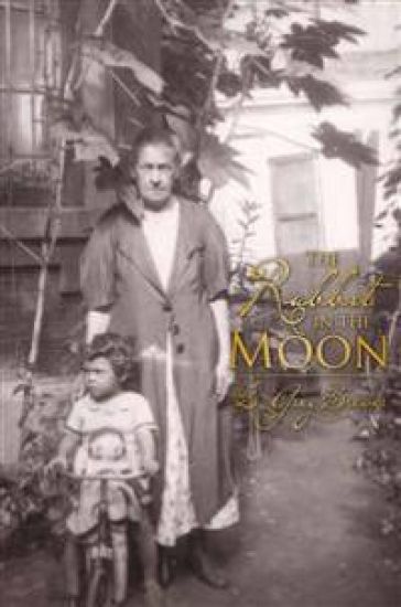 The Rabbit in the Moon