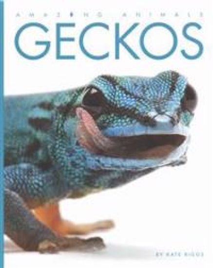 Amazing Animals Geckos