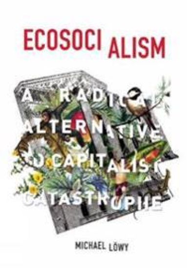 Ecosocialism