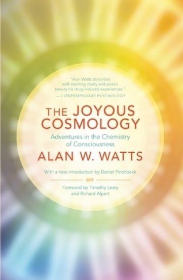 The Joyous Cosmology
