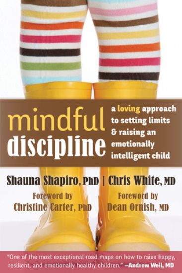 Mindful Discipline