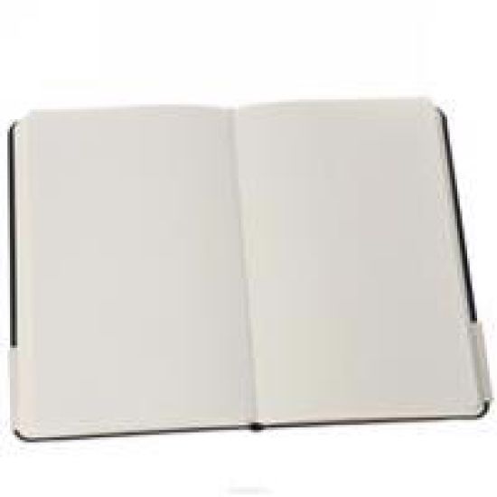 Destiny Hardcover Blank Journal