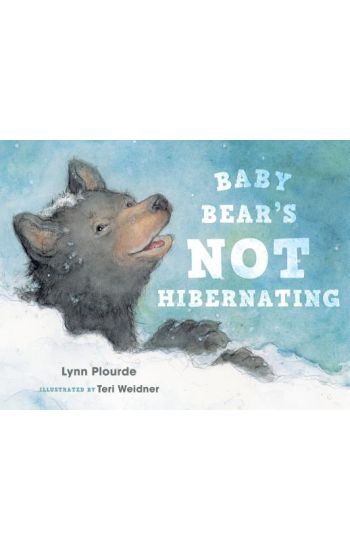 Baby Bear's Not Hibernating