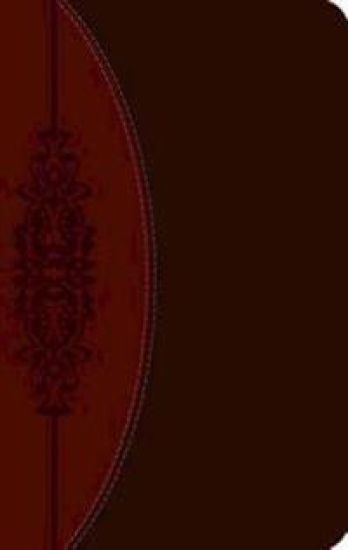 CEB Wesley Study Bible, DecoTone