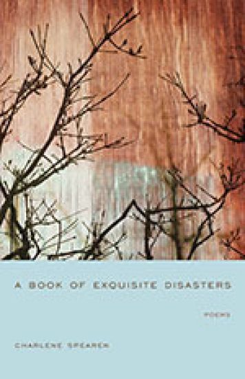 A Book of Exquisite Disasters
