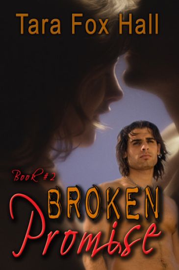 Broken Promise, Book 2 of the Promise Me Series