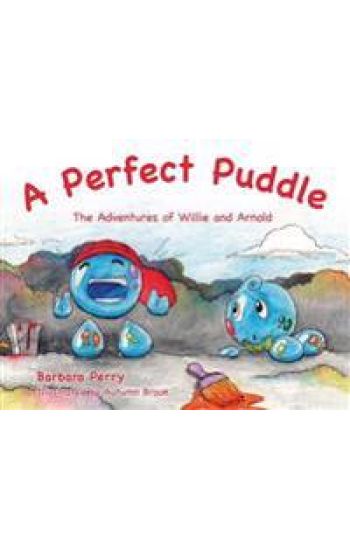 A Perfect Puddle