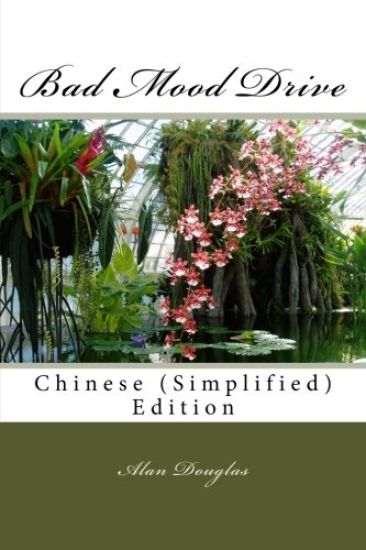 Bad Mood Drive: Chinese (Simplified) Edition