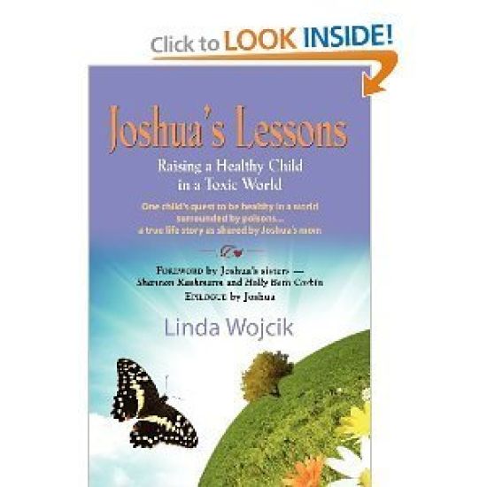 Joshua's Lessons