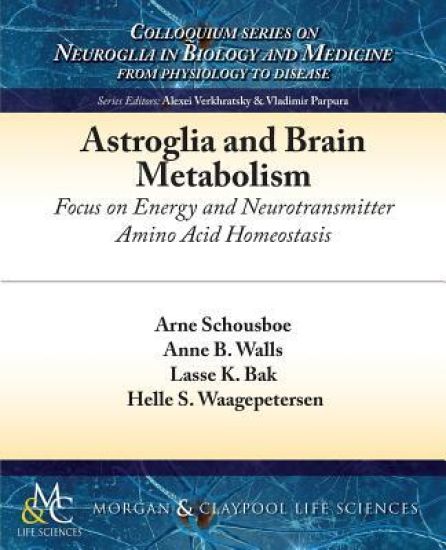 Astroglia and Brain Metabolism