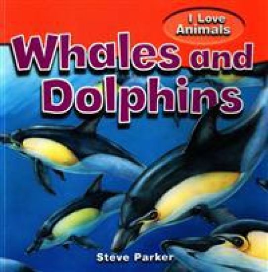 Whales and Dolphins