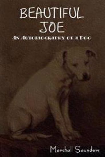 Beautiful Joe