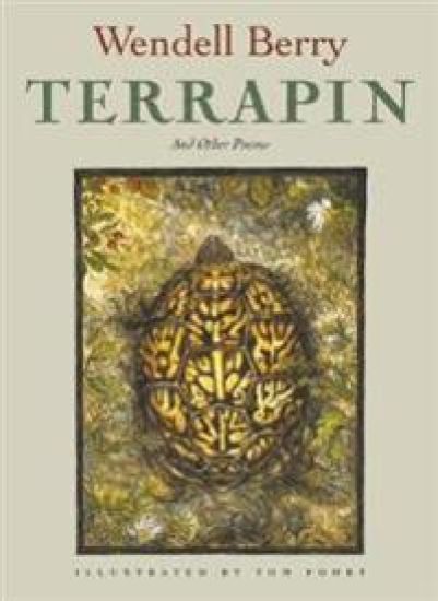 Terrapin
