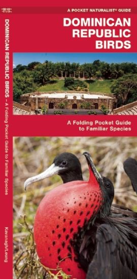 Dominican Republic Birds