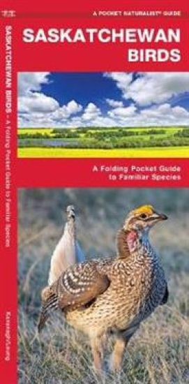 Saskatchewan Birds