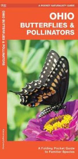 Ohio Butterflies & Pollinators